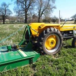 A REALLY GOOD WORK HORSE IN EXCELLENT CONDITION